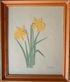 AN 0121 Daffodils