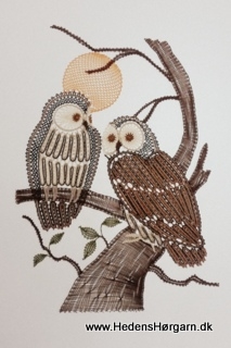 AN 0246 Owls