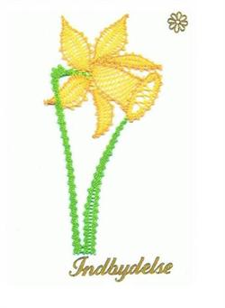 AN 0939 Daffodil