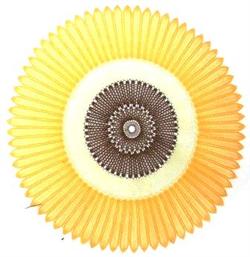 AN 0566 Tablecloth Sunflower