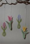 AN 0743 -744 Tulip and Hyacinth