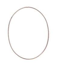 Oval / egg