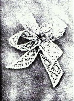 AN 0485 Ribbon with spiders